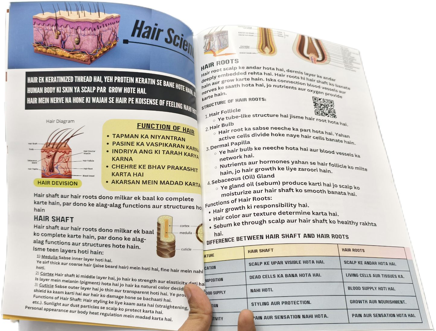 The Science of Hair Art